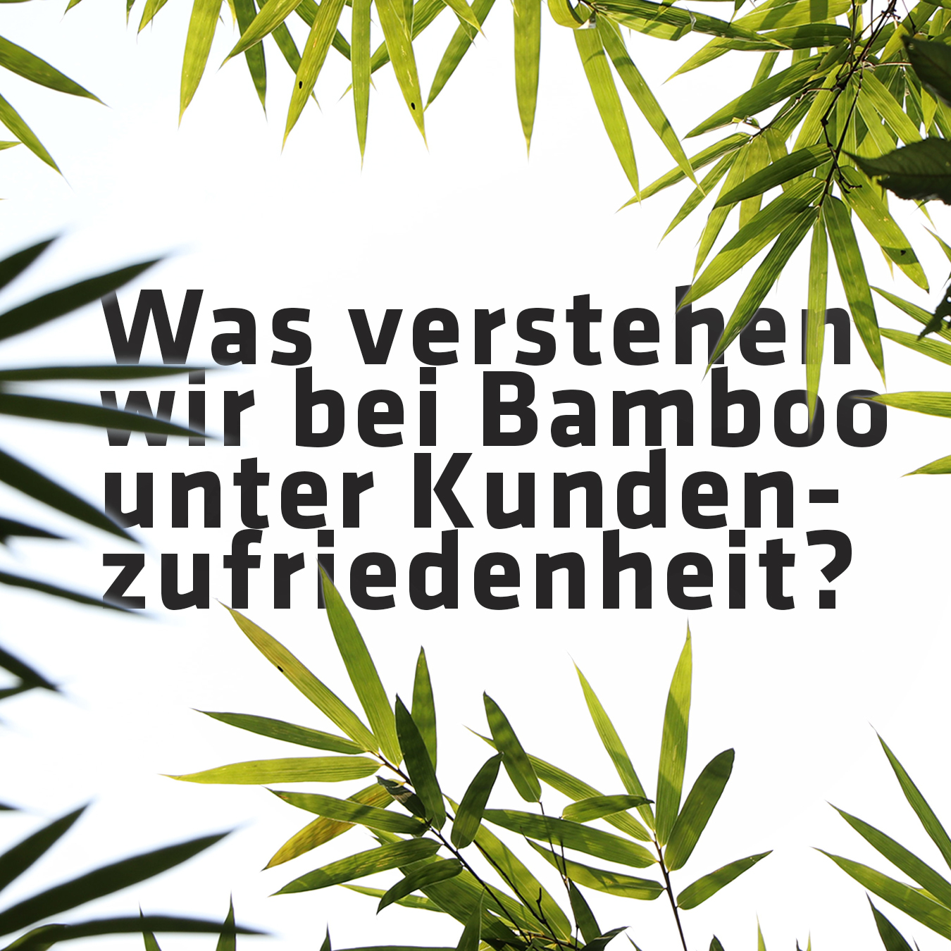 Bild mit der hinter Bambusblättern grafisch dargestellten Frage: "Was verstehen wir bei Bamboo unter Kundenzufriedenheit?".